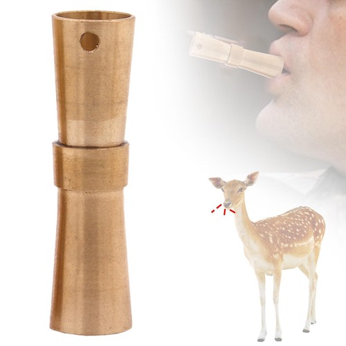 Deer call muntjac - call,