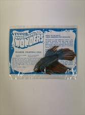Tudor underwater wonders - underwater,