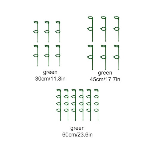 The new buckle ring plant - the,