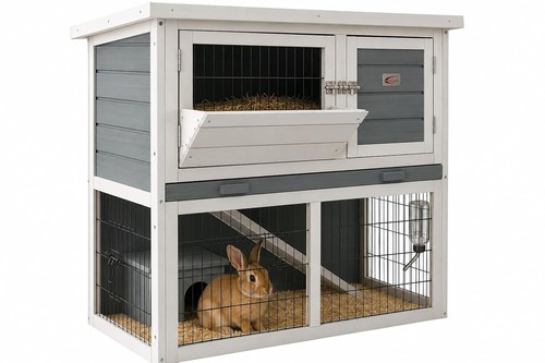 Bunny business tier double - bunny,