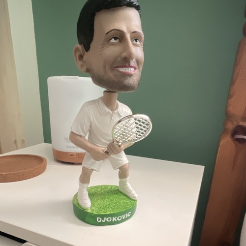 Novak djokovic bobble - djokovic, head