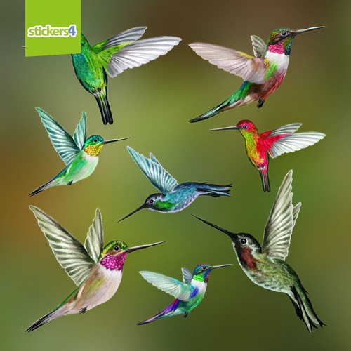Set mixed size humming - of, 8
