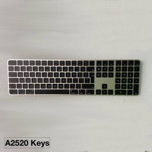 A2520 apple magic keyboard - a2520,