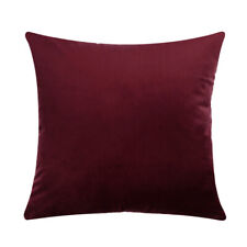Plush Velvet Cushion Cover