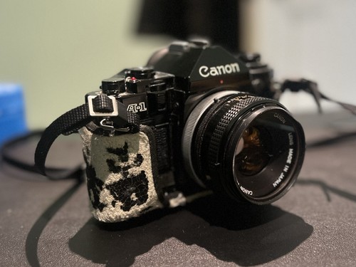 Canon 35mm slr film - canon,