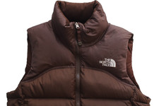 The North Face Nuptse 700