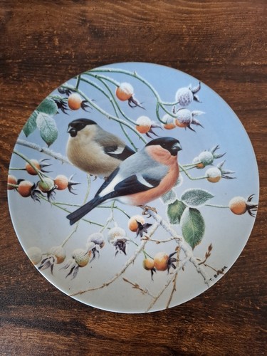 Wedgewood danbury mint bone - mint,