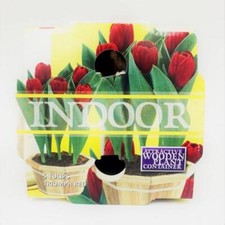 Tulip Triumph Red Indoor Wooden Planter Gift | 5 Tulip bulbs