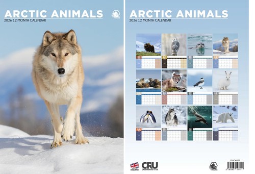 Arctic animals 2026 calendar - 2026,