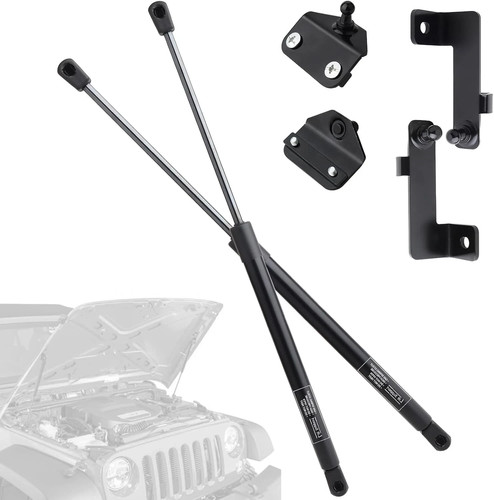 Hood struts for - struts,