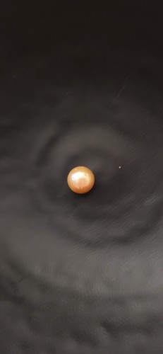 South see golden - south, natural