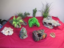 A Selection Of Aquarium