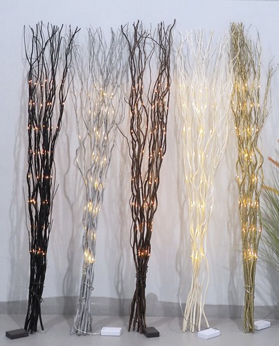 Light willow twig - willow,