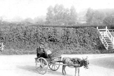 krr-75 James Gell Basket Maker