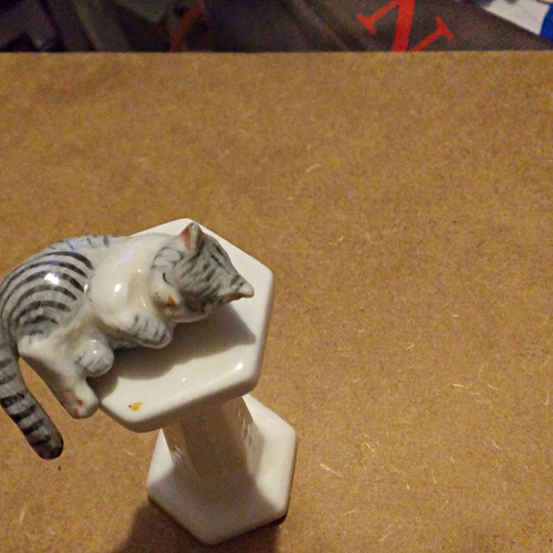 Grey white cat - &,
