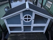 Pets at Home Foxglove Guinea