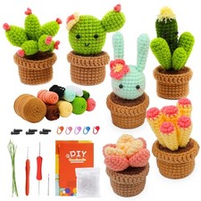 3/6pcs DIY Beginners Plant