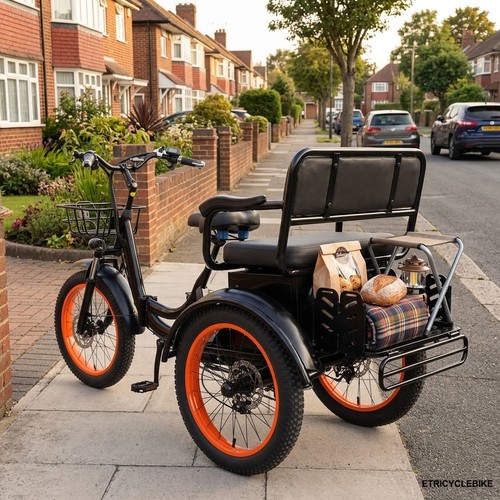 Electric cargo trike - cargo, 20