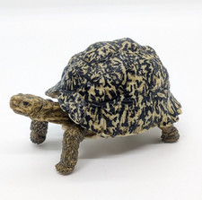 Bandai Gashapon Turtle