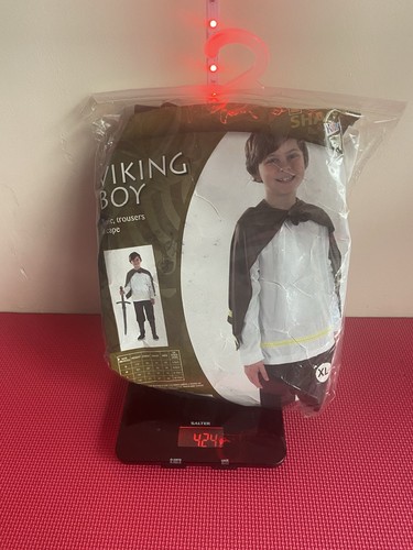 Viking boy fancy dress costume - fancy,
