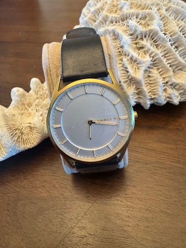 Skagen holst skw6225 men - holst, men's