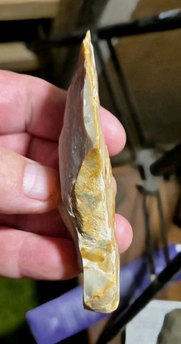 Rare mesolithic primary - rare,