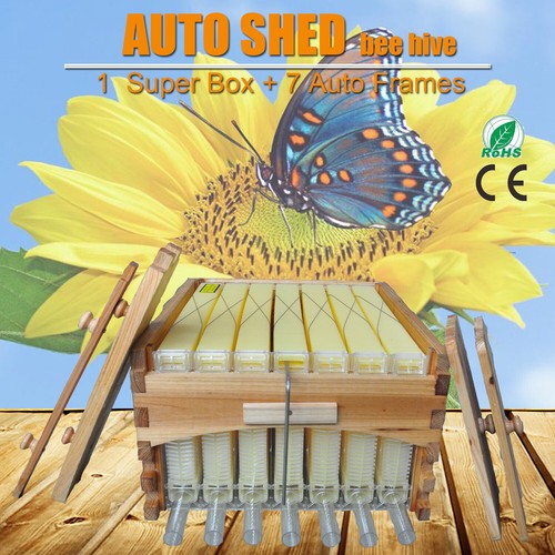 Auto bee hives super - hives, box