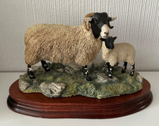 Border Fine Arts -  Swaledale