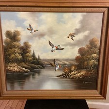 "Mallard ducks flying over