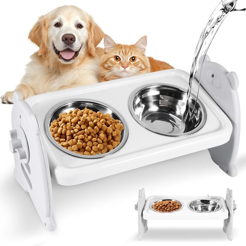 Dog bowls with - with, stand