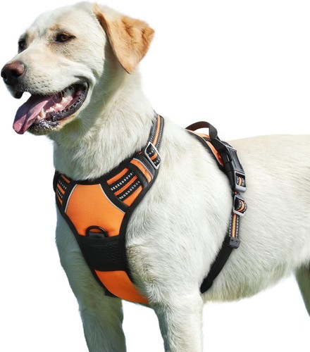 Eagloo dog harness pull - no,