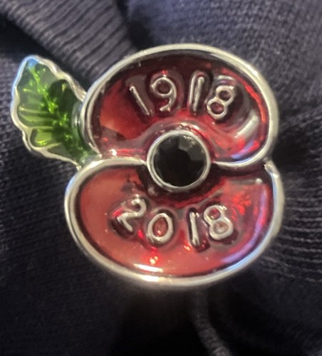 1918 2018 poppy - 1918-2018, remembrance