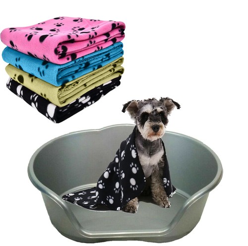 Plastic dog bed - dog, baske