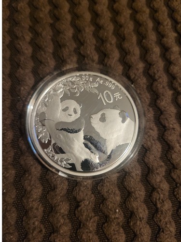 2021 30g silver - silver, panda