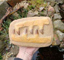XL Fossil Mosasaur Jaw