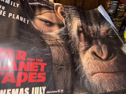 War for the - of, apes
