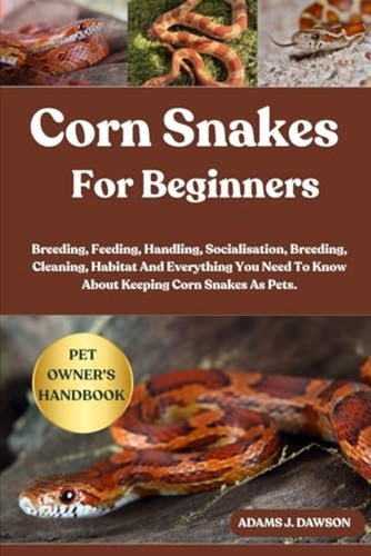 Corn snakes for - corn, beginners