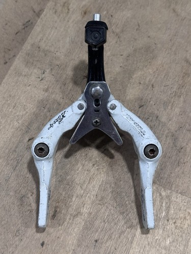 Oldschool odyssey pitbull - pitbull, rear