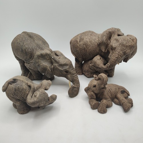 The herd lot - herd,