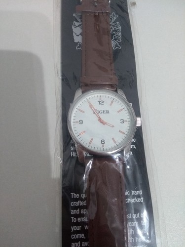 Eiger wristwatch new - eiger, and