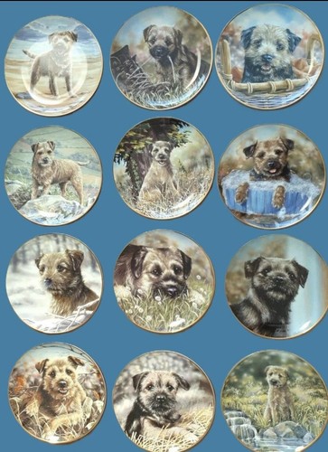 The border terrier collectors - the,