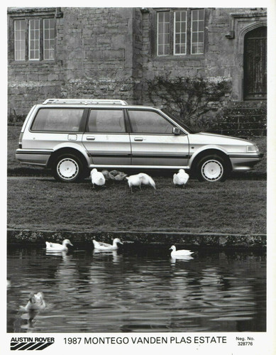 Austin montego vanden - montego,