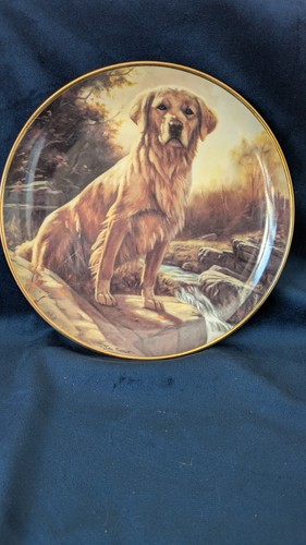 Danbury mint golden morning - mint,