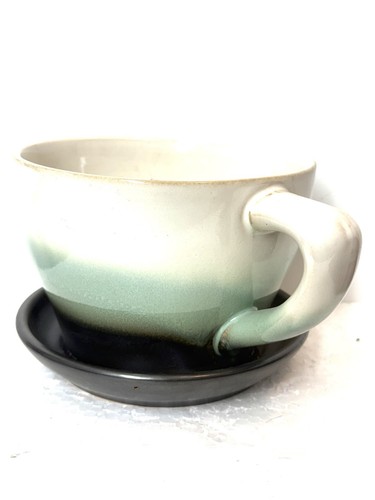 Teacup saucer planter plant - teacup,