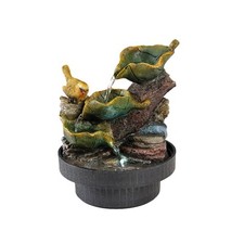 Small Robin Water Fountain