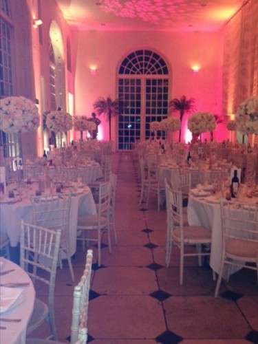 Flower ball stem for hire - ball,