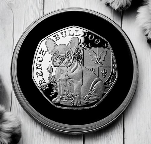 French bulldog silver - bulldog,