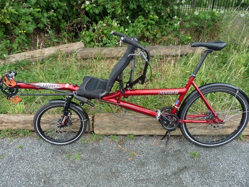 Hase pino allround - pino,