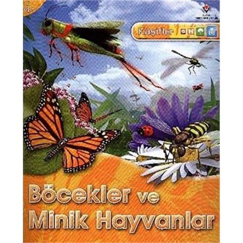 Kasifler böcekler minik - böcekler, ve