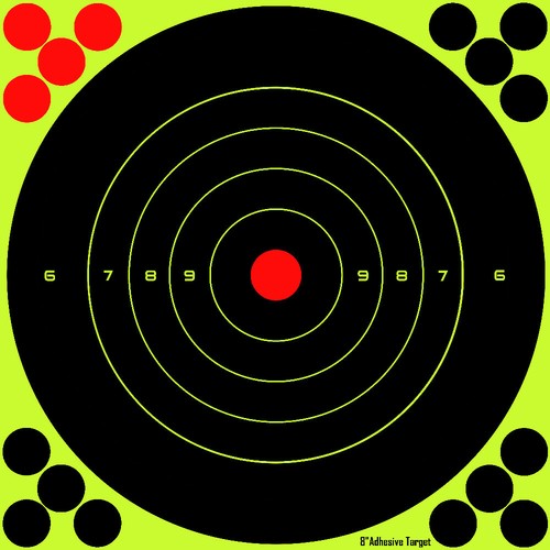 Splatter target shoot - 8",